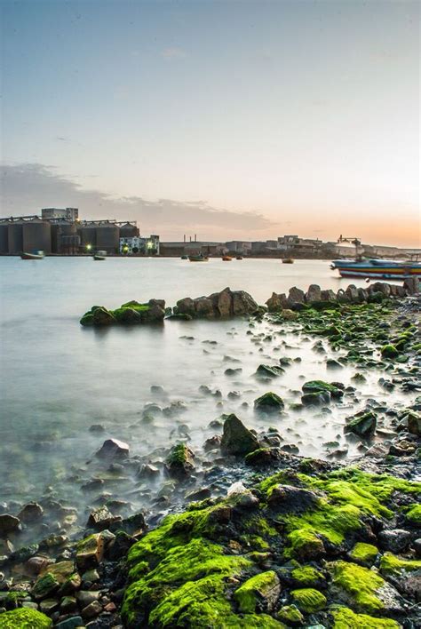 Red Sea Magic Port Sudan سحر البحر الأحمر، بورتسودان