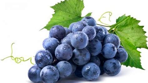 Uvas Propiedades Beneficios Y Valor Nutricional Agroempresario