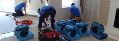 Emergency Flood And Water Damage Repair And Removal Services Carpet