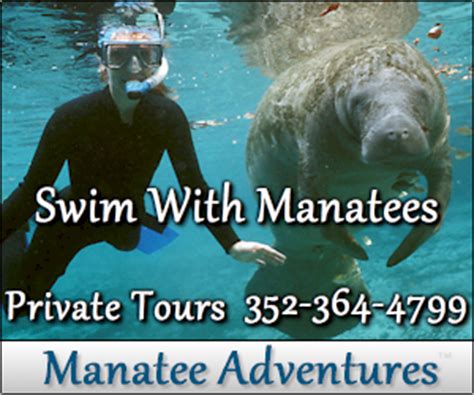 Manatee Tours : Homosassa Florida