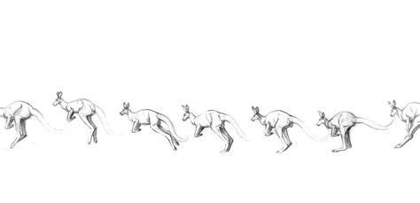 Fiya's Art: Animal Movement Studies