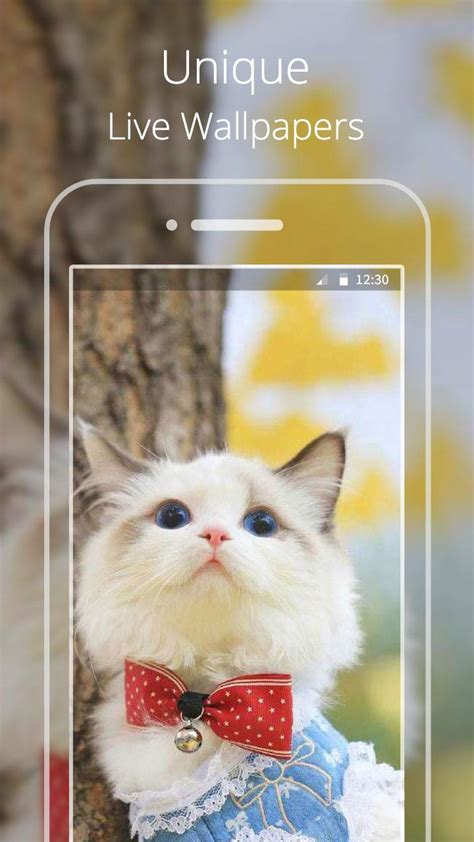 Cute Cat live wallpaper APK for Android Download