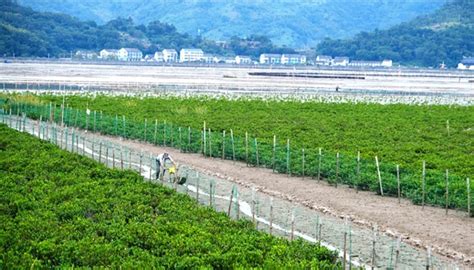 逐蓝而行 我县推进近岸海域污染防治 海水优良率连续两年在全省陆地沿海城市排名第一 苍南新闻网