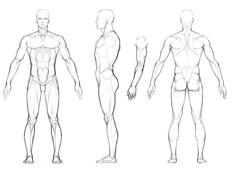 Resultado De Imagem Para Muscular Man Drawing Blueprint En 2019