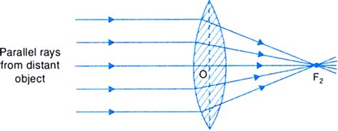 By Drawing Ray Diagrams Explain The Formation Of Image When An Object