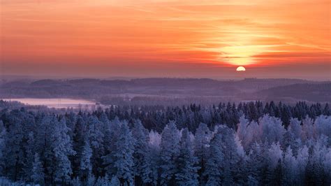 Hintergrundbilder : Natur, Landschaft, Bäume, Winter, Sonne ...