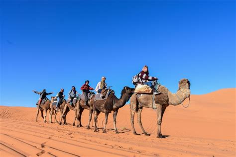 2 Day 1 Night Desert Trip To Merzouga From Ouarzazate GetYourGuide