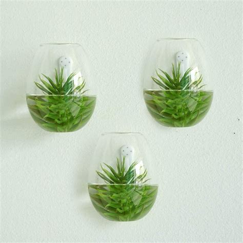 3 Pack Egg Shaped Glass Wall Vase Indoor Wall Mounted Planters