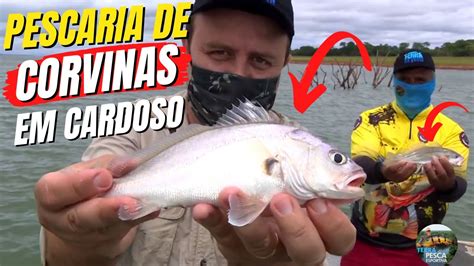 Disputa Acirrada Na Pescaria De Corvinas No Rio Grande Em Cardoso Youtube