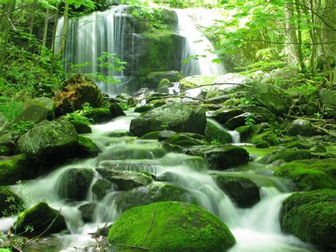 19 Stunning Waterfalls In Virginia To Add To Your Bucket List