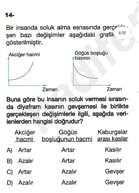 Acil Bu Soruyu Cevaplauabilir Misiniz Acaba Eodev