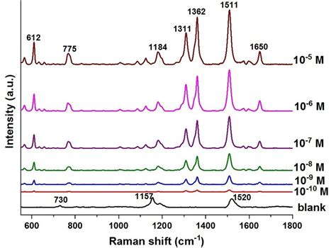 Sers Spectra Of 10 −10 M R6g Which Were Obtained From 3 Different