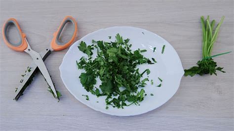 Finely Chopped Parsley