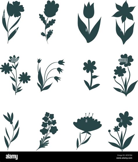 Set Of Flower Silhouette Vector Illustration Stock Vector Image And Art Alamy