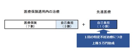 海老名市特定不妊治療（先進医療）費助成事業｜海老名市公式ウェブサイト