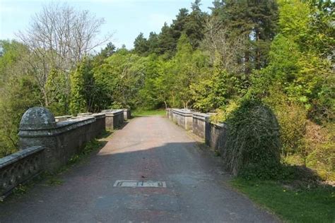 Overtoun Bridge: Solving The Mystery Of Scotland's Dog Suicide Hotspot