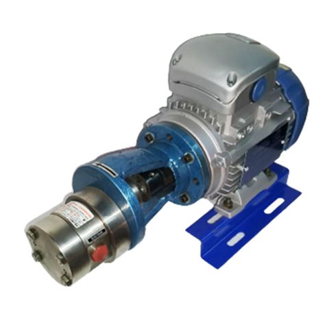 Stainless Steel Ss Gear Pump Manufacturer