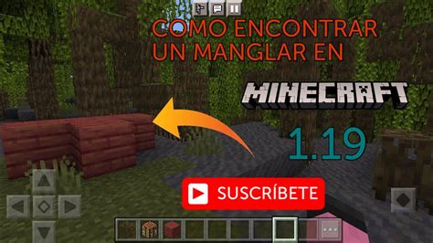 Como Encontrar Un Manglar En Minecraft Youtube