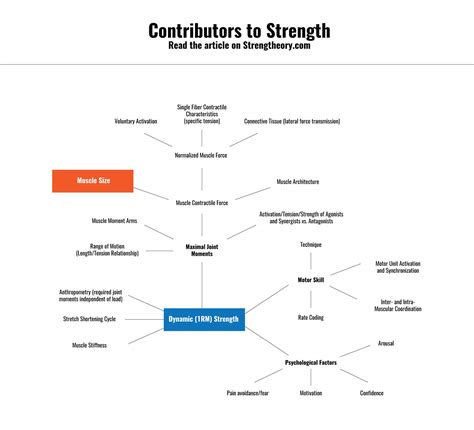 strength gains on a cut 8