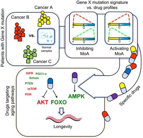 Scientists Develop Accurate Drug Repositioning Method Through Non