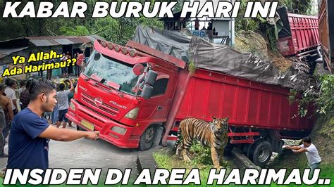 Pertanda Buruk Malapetaka Di Perlintasan Harimau Sitinjau Lauik Makin