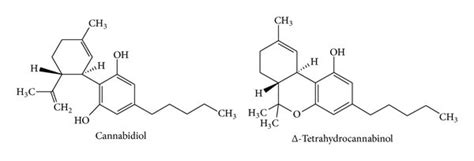 Chemical Structures Of Cannabis Sativa Compounds Download Scientific