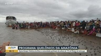 Bom Dia Amazônia AP Ação realiza a soltura de 175 mil filhotes de