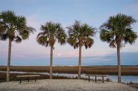 Pitt Street Bridge - SC Picture Project