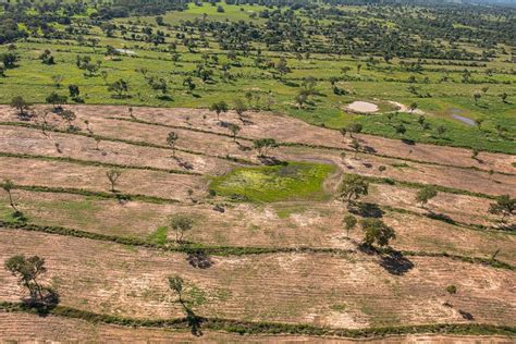 MT derruba 9 5 mil hectares de floresta em três anos e segue como 3º