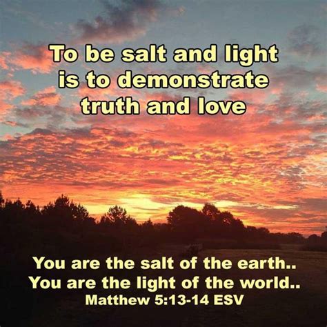 You Are The Salt Of The Earth You Are The Light Of The World