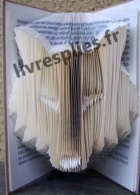 Livresplies fr Livres pliés Folded books tutoriels de pliage de