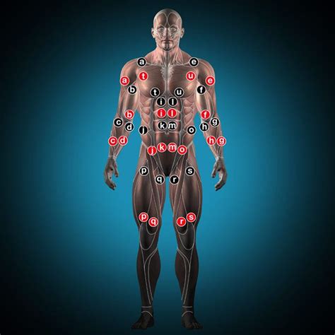 Tens Unit Placement Diagram