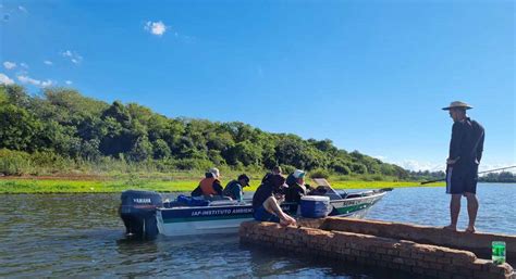 Piracema Come A Nesta Quarta Feira Nos Rios Da Fronteira