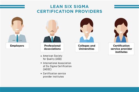 Lean Six Sigma Levels Explained Infographic Apex Global