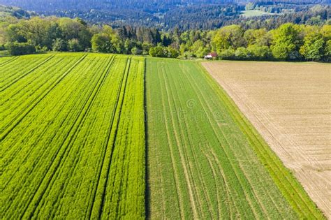 Landbouwgrond In Het Swabian Bos In Duitsland Stock Afbeelding Image