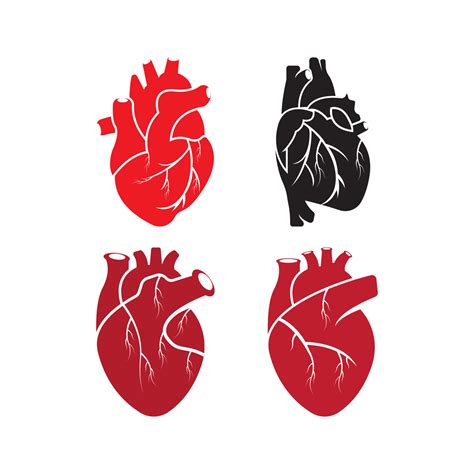 Human Heart Logo Medical Cardiology Vector Icon Illustration 16222885 Vector Art At Vecteezy