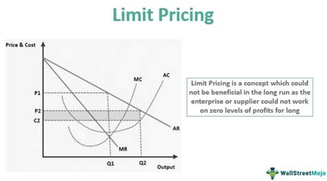 Limit Pricing Definition Example Limit Pricing Vs Predatory Pricing