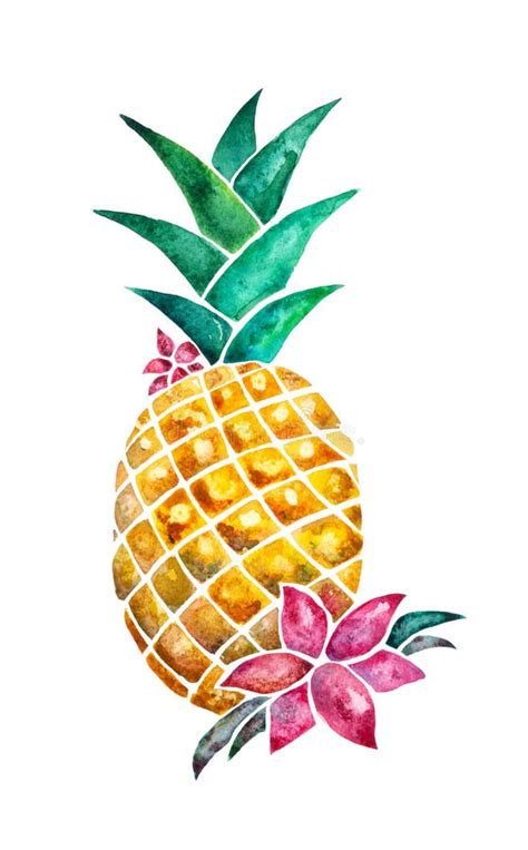 Watercolor Pineapple With Flowers Isolated On White Stock Image Image