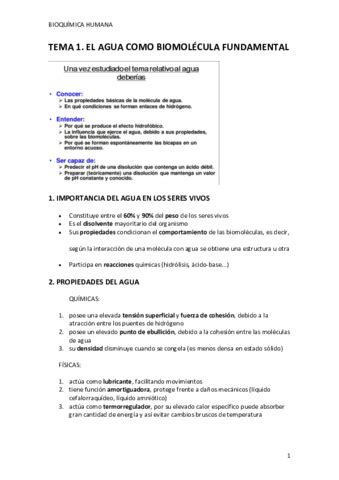 Bioquimica Parcial Pdf