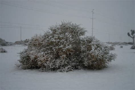 Tumbleweeds In The Snow By Uchiha Stalker On Deviantart