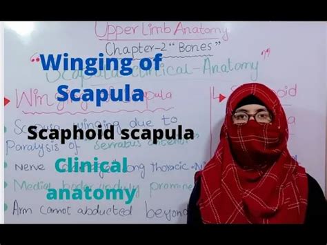 Winging of scapula, scaphoid scapula, scapula clinical anatomy, upper ...