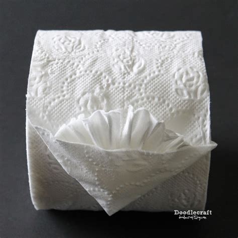 Doodlecraft Fancy Toilet Paper