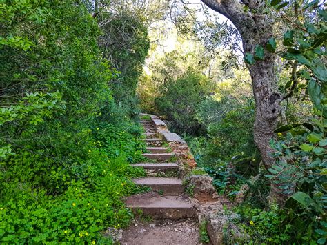 Visitar Serra Da Arr Bida Roteiro O Melhor Do Parque Natural Da