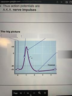 Sodium Potassium Pump Diagram Quizlet