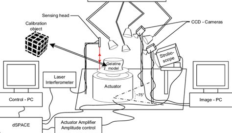 Diagram Of Experimental Setup For Phantom Actuation And Motion Capture Download Scientific