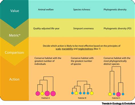 Effective Conservation Trends In Ecology Evolution