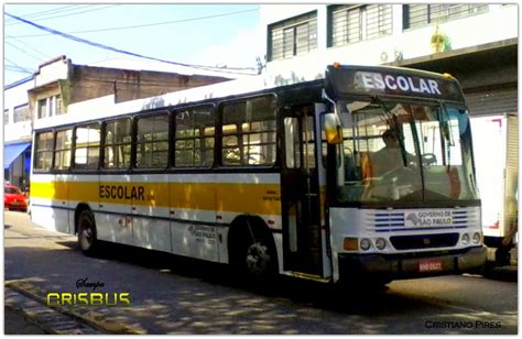 CRISBUS Escolar Marcopolo Torino GV