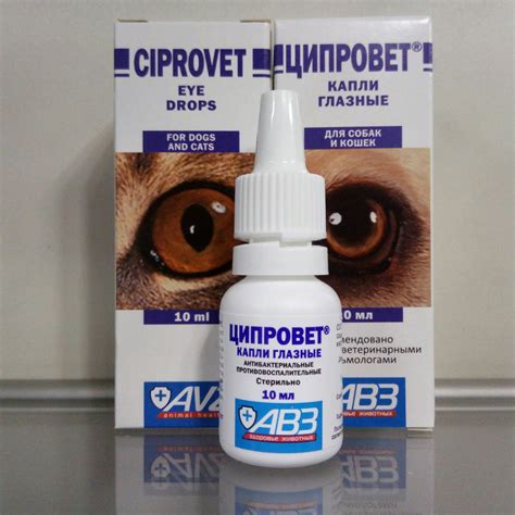 Ципровет (Ciprovet) капли глазные, 10 мл — Ветаптека «Домвет»