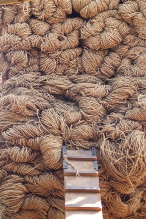 Coir Ropes At Rs Kg Bhanugudi East Godavari Id