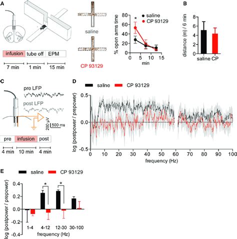 Intra Mpfc Infusion Of A Ht B Receptor Agonist Reduces Innate Anxiety